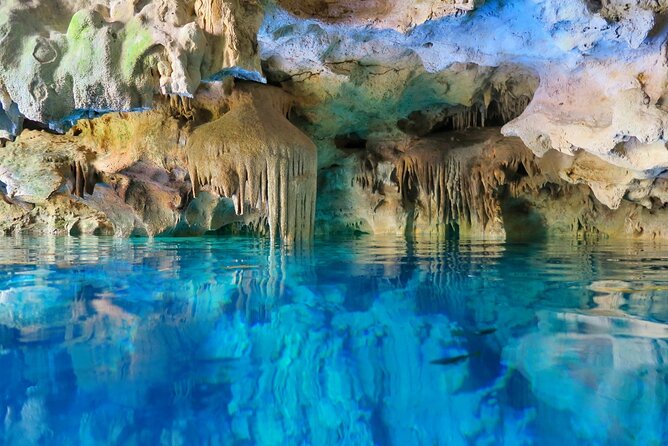 Mayan Cenotes Experience with Mayan Ruins or Local Community - The morning run: pickup, timing, and how not to lose time