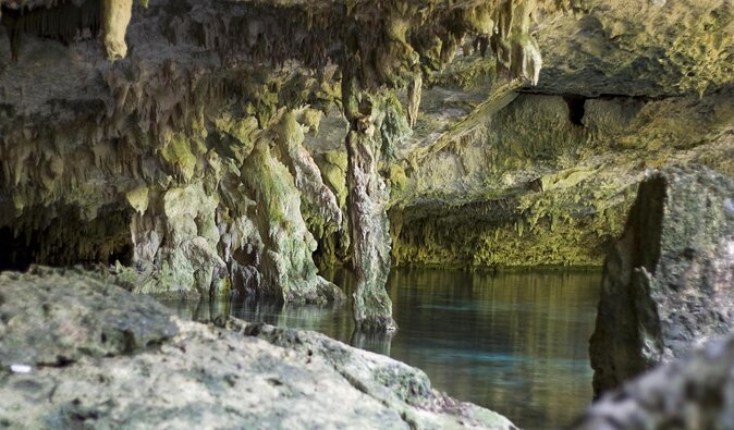 Mayan Ceremonial Night: Temazcal, Cenote Swim and Dinner from Playa del Carmen - Key Things That Make This Tour Worth Your Time