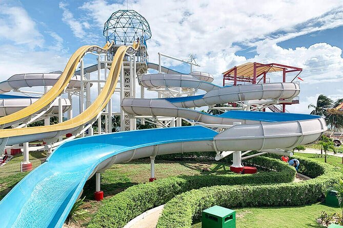 Meeting at the Dolphinarium - Price, Extra Fees, and How to Judge the Real Cost