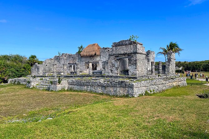 Mother Nature, Tulum, Casa Tortuga Cenote and 5th av - The Big Picture: How This Cancun-to-Tulum Day Fits Together