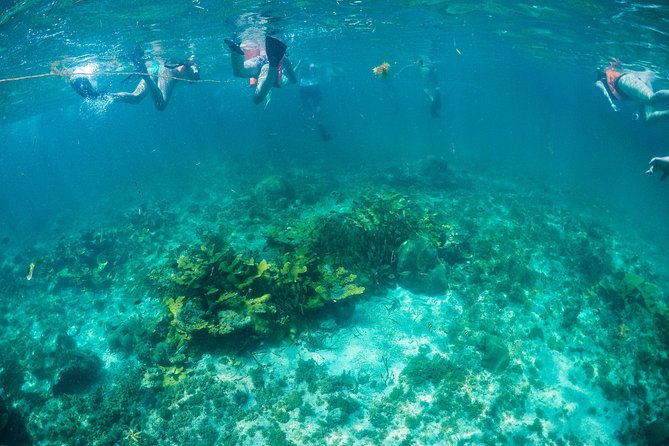 Mujeres Island Tour by Catamaran from Cancun City - The golf cart add-on and beach comfort costs