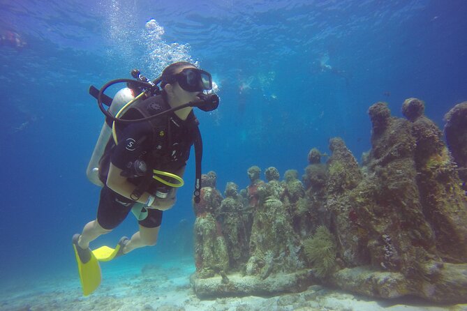 MUSA Diving For Beginners in Cancun - Key points to know before you go
