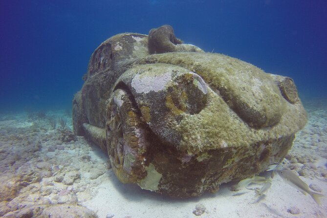 MUSA Diving For Beginners in Cancun - First underwater session: MUSA’s statues at about 30 ft