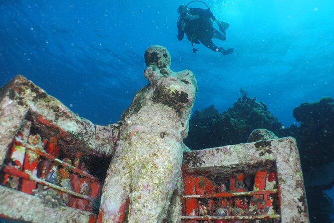 MUSA Diving For Beginners in Cancun - Second underwater session: Manchones reef for around 45 minutes