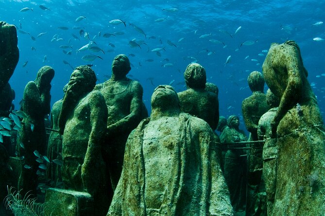 MUSA Diving For Beginners in Cancun - Price and value: what $185 buys you