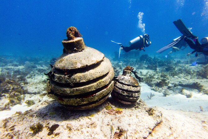 MUSA Museum and Colorful Reef 2 Tank Dive-Certified Divers - MUSA Underwater Museum of Art: Real Creatures Around Real Sculptures