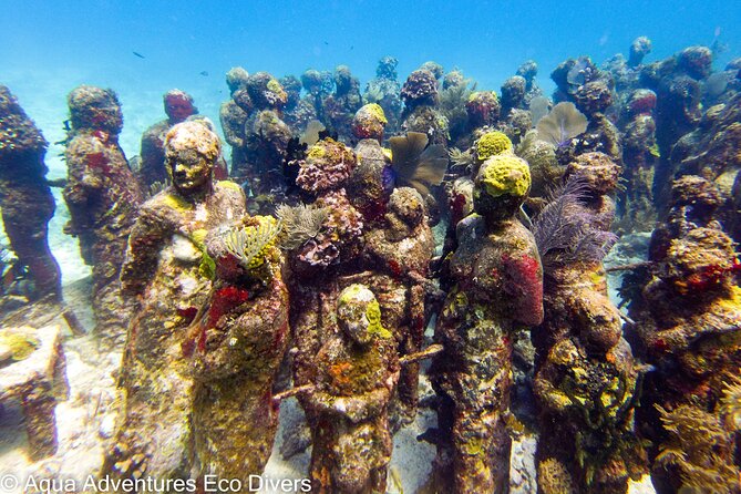 MUSA Museum and Colorful Reef 2 Tank Dive-Certified Divers - What’s Included, What Isn’t, and Why the Price Makes Sense
