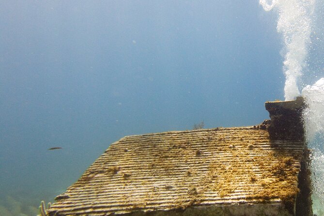 MUSA Museum and Colorful Reef 2 Tank Dive-Certified Divers - Who This Suits Best (and Who Should Think Twice)