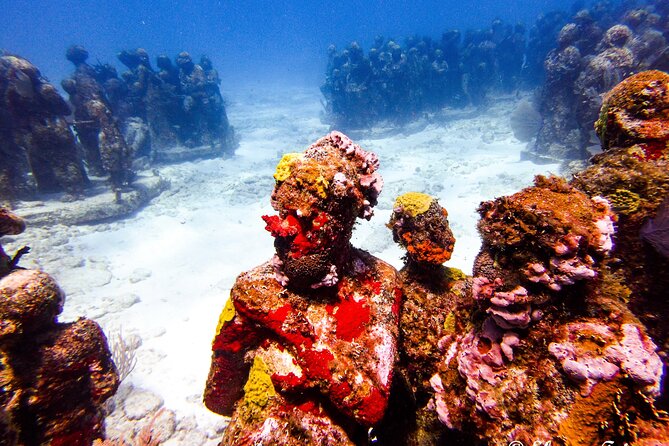 MUSA Museum and Colorful Reef 2 Tank Dive-Certified Divers - The Staff Style: Friendly, Professional, and Practical