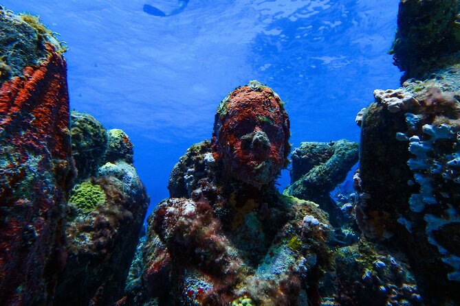 MUSA Museum and Colorful Reef 2 Tank Dive-Certified Divers - Manchones Reef: Stingrays, Turtles, Nurse Sharks, and Friends