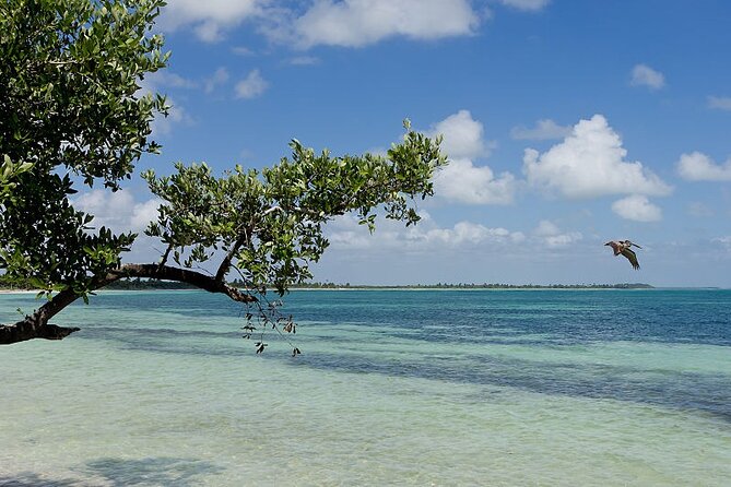 Natural Reserve of Sian Ka'an Tour ! - The morning start: Cancun pickups, Tulum’s no-pickup rule, and what to expect