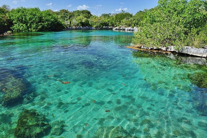 Natural Reserve of Sian Ka'an Tour ! - Practical tips that make the day easier
