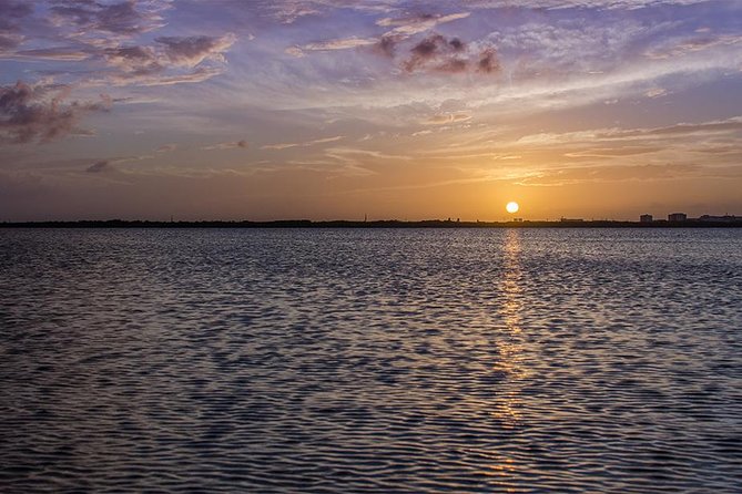Nichupte Lagoon Wildlife Tour - Small-group value: why 8 travelers matters on a wildlife boat