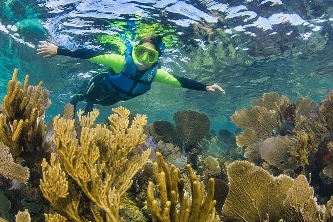 Nizuc Reef Snorkel Experience - Price, Extra Fees, and Real Value for Your Money