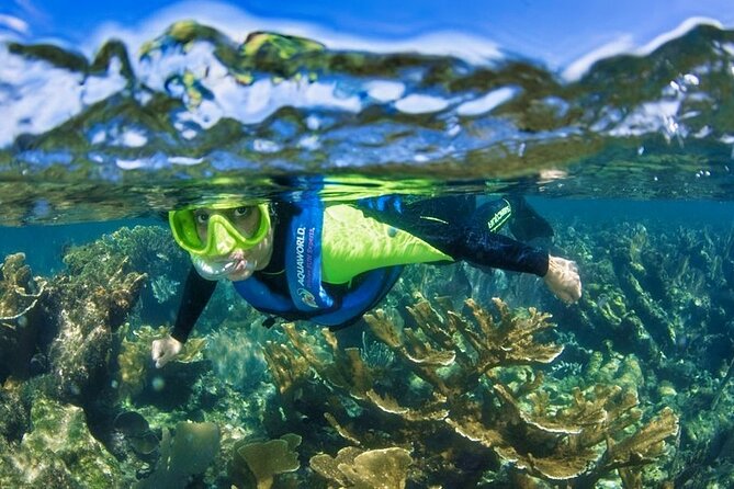 Nizuc Reef Snorkel Experience - On the Platform: Mask Up, Follow the Guide, Then Explore