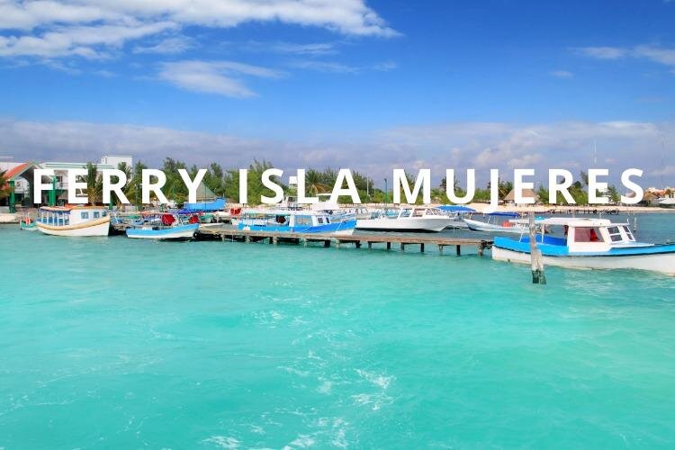 One-way private transfer Cancun Airport - Isla Mujeres Ferry. - Practical Details You’ll Appreciate on Arrival