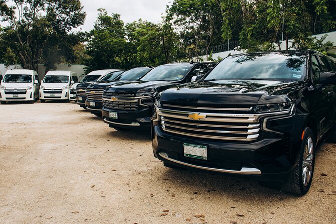 One Way Private Transfer Cancun Int Airport-Cancun Hotel Zone - Key Highlights You Will Feel Right Away