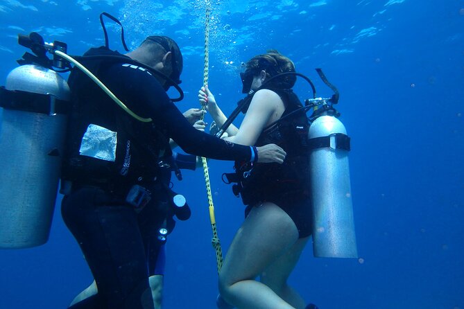 Open Water Certification Course-PADI - Day 2 at 9:00 am: Two ocean tanks and skill application