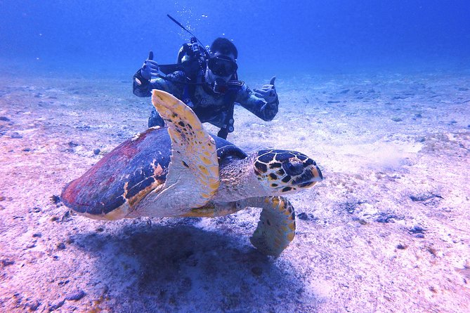 Open Water Certification Course-PADI - Who should take this PADI Open Water course in Isla Mujeres