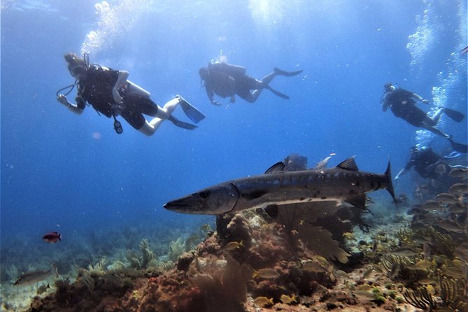 Open Water Diver course PADI in Cancun - Teaching style and team support: why patient coaching shows up in the details