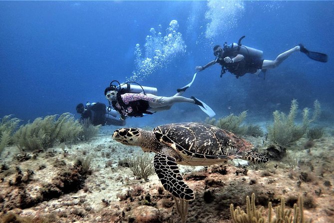 Open Water Diver course PADI in Cancun - Practical Cancun tips so your course day feels easier