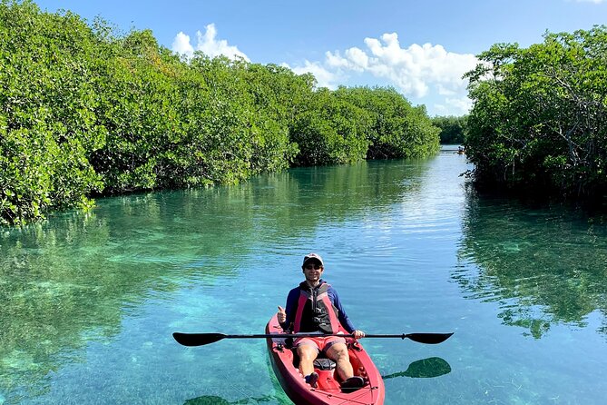 Paddleboard Kayak Tour in Cancun - The First Stretch on the Water: Learning, Then Going for It