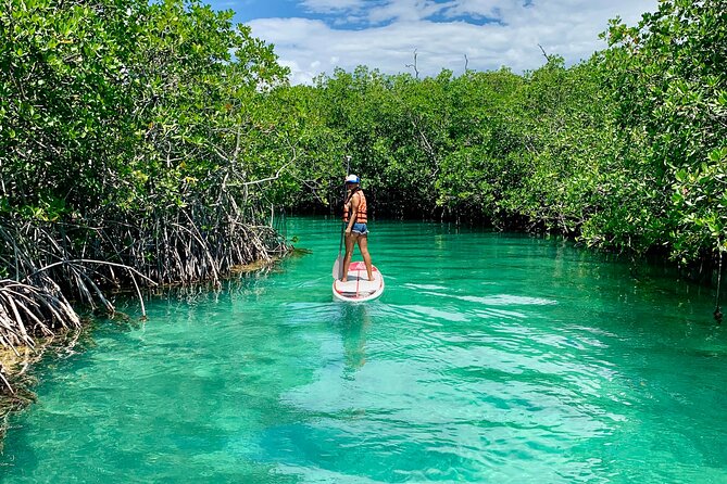 Paddleboard Kayak Tour in Cancun - How the 2 Hours Usually Feels (Pacing and Effort)
