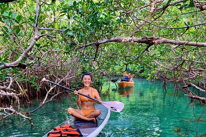 Paddleboard Kayak Tour in Cancun - Equipment Included: What You Gain by Not Packing Gear