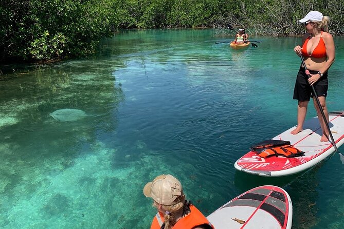 Paddleboard Kayak Tour in Cancun - Meeting Point at Scuba Cancun: Getting Started Smoothly