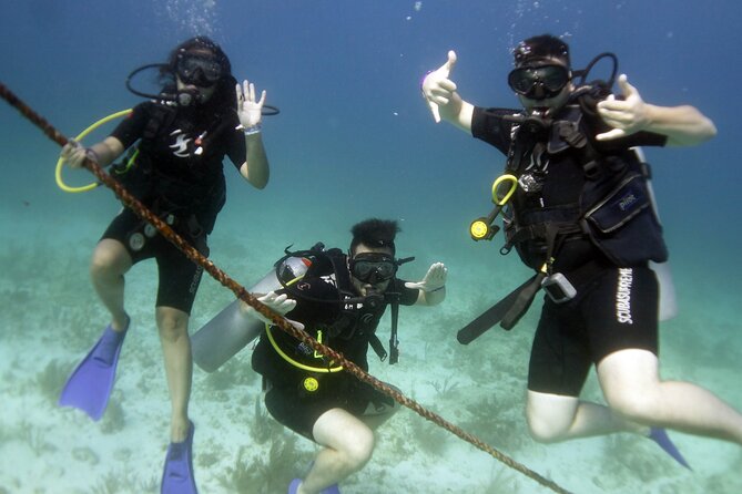 PADI Discover Scuba Diving for divers without certification - Setting the tone: what this PADI intro really gives you