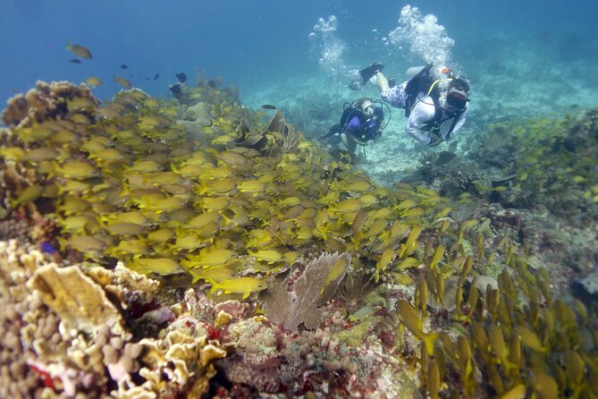 PADI Discover Scuba Diving for divers without certification - Price and value: how $169 makes sense for what you get