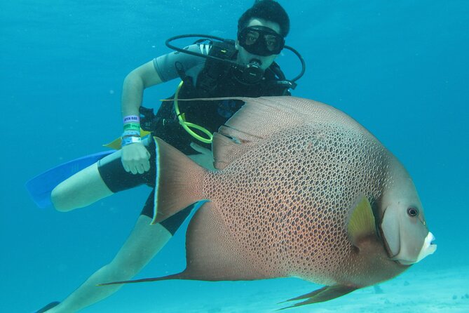 PADI Open Water Diving Certification Course Activity - Key things I’d circle before you book