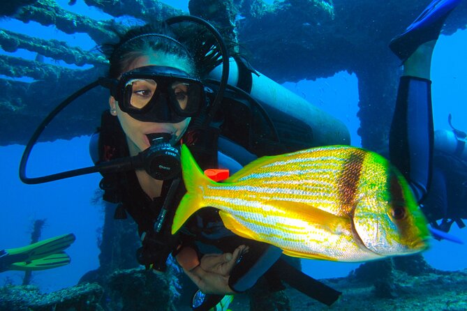 PADI Open Water Diving Certification Course Activity - Price, Value, and What Your Final Total Might Look Like