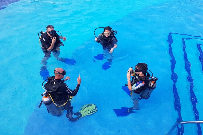 PADI Open Water Diving Certification Course Activity - Theory and Pool Skills: Where Confidence Is Built