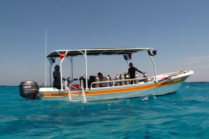 PADI Open Water Diving Certification Course Activity - Stop 2: Isla Mujeres, Plus the Caribbean Feel Between Sessions