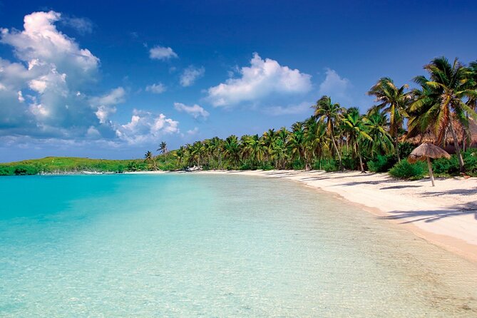 Paradise Islands Tour: Isla Contoy and Isla Mujeres - Key highlights at a glance