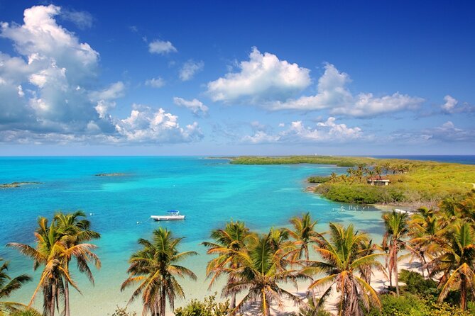 Paradise Islands Tour: Isla Contoy and Isla Mujeres - Food and drinks: the kind of inclusion that keeps the day pleasant