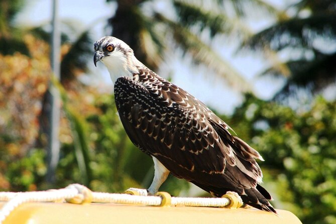 Paradise Islands Tour: Isla Contoy and Isla Mujeres - Price and value: is $199 per person fair for what you get?