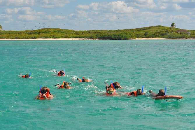 Paradise Islands Tour: Isla Contoy and Isla Mujeres - Small group size and the comfort factor that matters