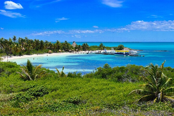 Paradise Islands Tour: Isla Contoy and Isla Mujeres - Isla Contoy National Park: bird sanctuary mode, plus the beach you actually want