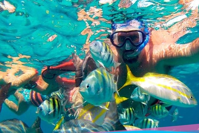Party On Sailing Cruise to Isla Mujeres from Cancun - Snorkeling and Sea Conditions: What to Bring and How to Choose Your Comfort