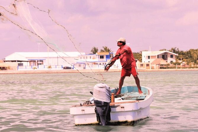 Pink Lake and Flamingo Sightseeing in Rio Lagartos - The Lunch, Meals, and the Included Food Plan