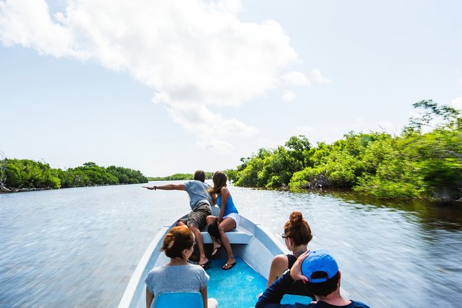 Pink Lake Tour from Las Coloradas with lunch and boat ride - Rio Lagartos Boat Ride Through Mangroves and Bird Country