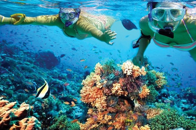 Plus Experience Isla Mujeres Tour - Price and what you need to budget beyond the sticker
