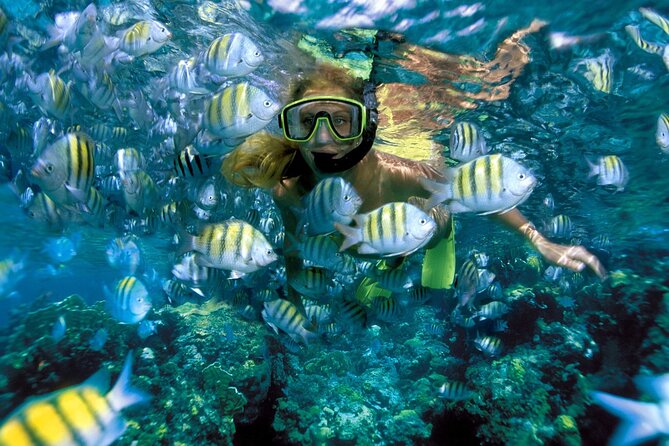Plus Full Day Catamaran Tour to Isla Mujeres All Inclusive - Open Bar and the “Sail Around With Drinks” Factor