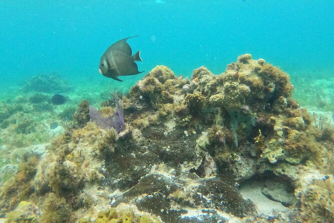 Premium Isla Mujeres Tour by Private Catamaran - Price and value for $950 per group up to 14 people