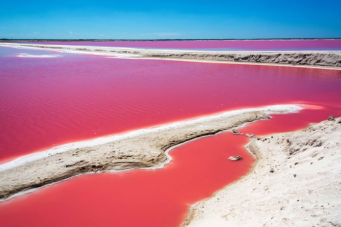 Private Chichen Itza, Cenote Ik Kil, Rio Lagartos & Las Coloradas - Four icons, one early start that actually works