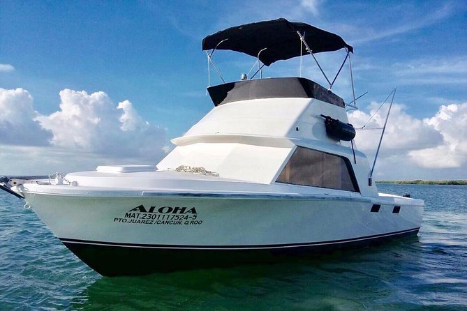 Private fishing charter Bertram 31ft 6 pax max if you don't fish you don't pay - From Cancun Sunset Marina to Your Private Bertram 31-Foot Boat