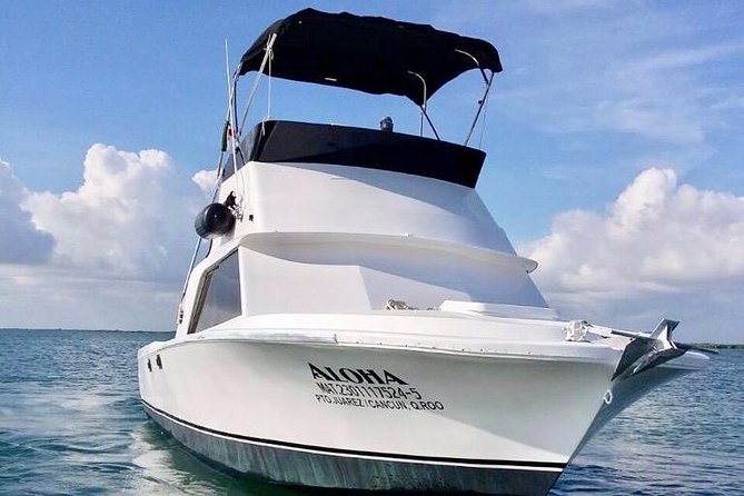 Private fishing charter Bertram 31ft 6 pax max if you don't fish you don't pay - Should You Book This Cancun Fishing Charter?