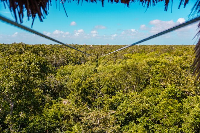 Private Jungle Adventure tour: Zipline + Rappel + Cenote - Snorkeling in the cenote waters: what you’ll actually notice